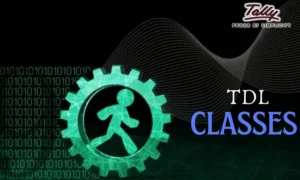 TDL Classes by Tally Expert